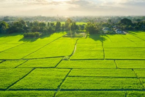 Quyền và nghĩa vụ của người sử dụng đất theo luật đất đai