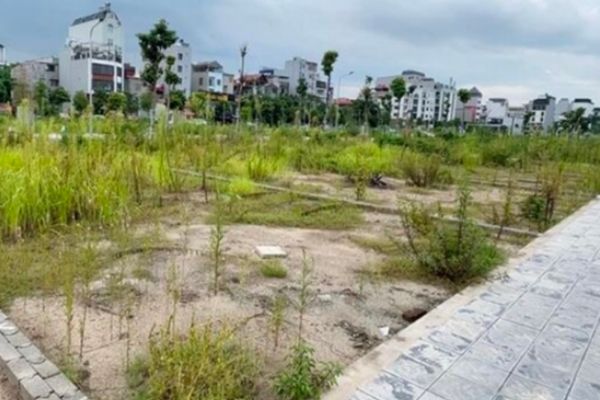 Các loại đất nền cần tránh khi đầu tư