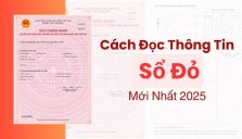 Cách Đọc Thông Tin Trên Sổ Đỏ Mới Nhất 2025