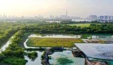 Công Trình Được Phép Xây Dựng Trên Đất Nông Nghiệp tại TPHCM