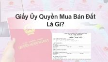 Giấy Ủy Quyền Mua Bán Đất Là Gì? Nội Dung Ra Sao?