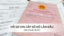 Hồ Sơ Xin Cấp Sổ Đỏ Lần Đầu Gồm Những Gì?