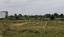 Thông Báo Thu Hồi Đất Có Nội Dung Gì?