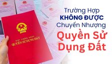 Trường Hợp Không Được Chuyển Nhượng Quyền Sử Dụng Đất