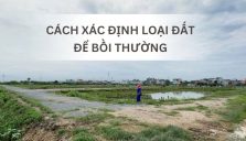 Xác Định Loại Đất Để Bồi Thường Như Thế Nào?